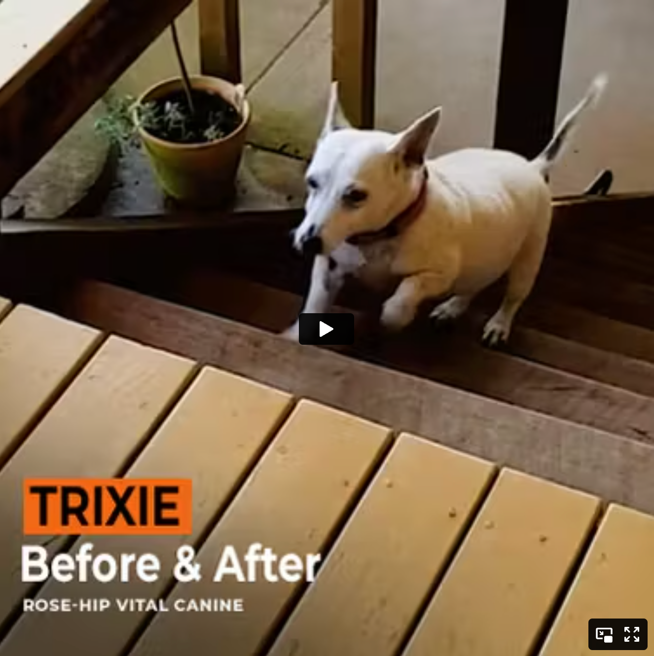 Trixie