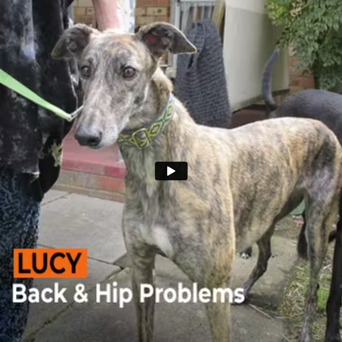 Lucy