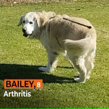Bailey