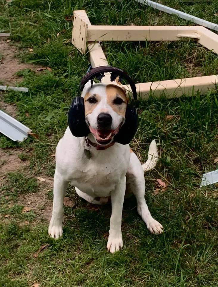 Diva