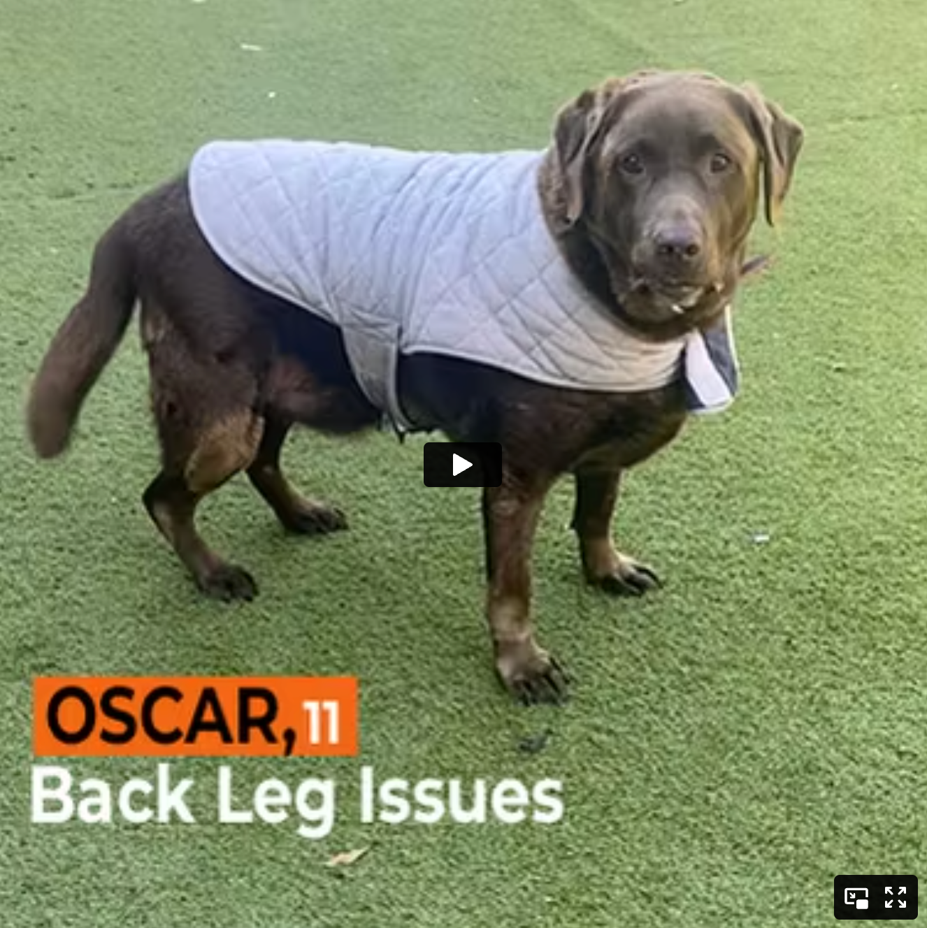 Oscar