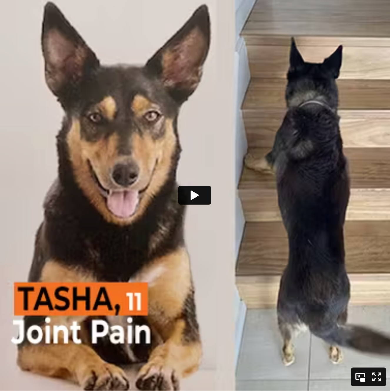 Tasha