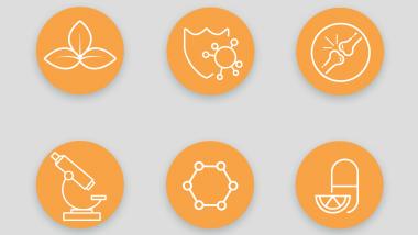 6 Reasons Why You Need Rose-Hip Vital