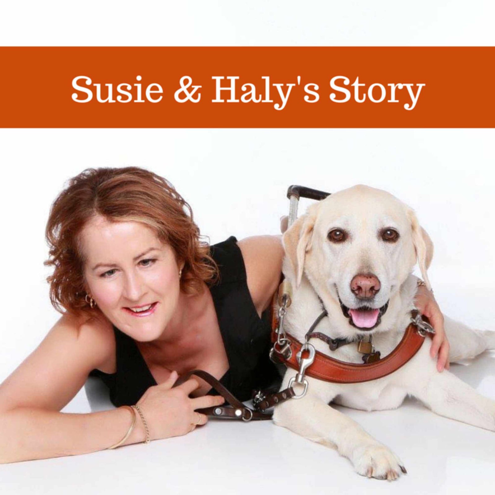 Rose-Hip Vital gives Haly back her puppy years