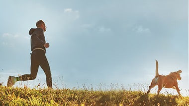 What are the benefits of Rose-Hip Vital Canine?