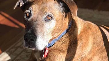 When the results seem too good to be true…