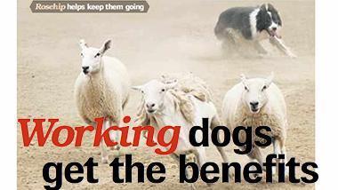 Rural Weekly – news article